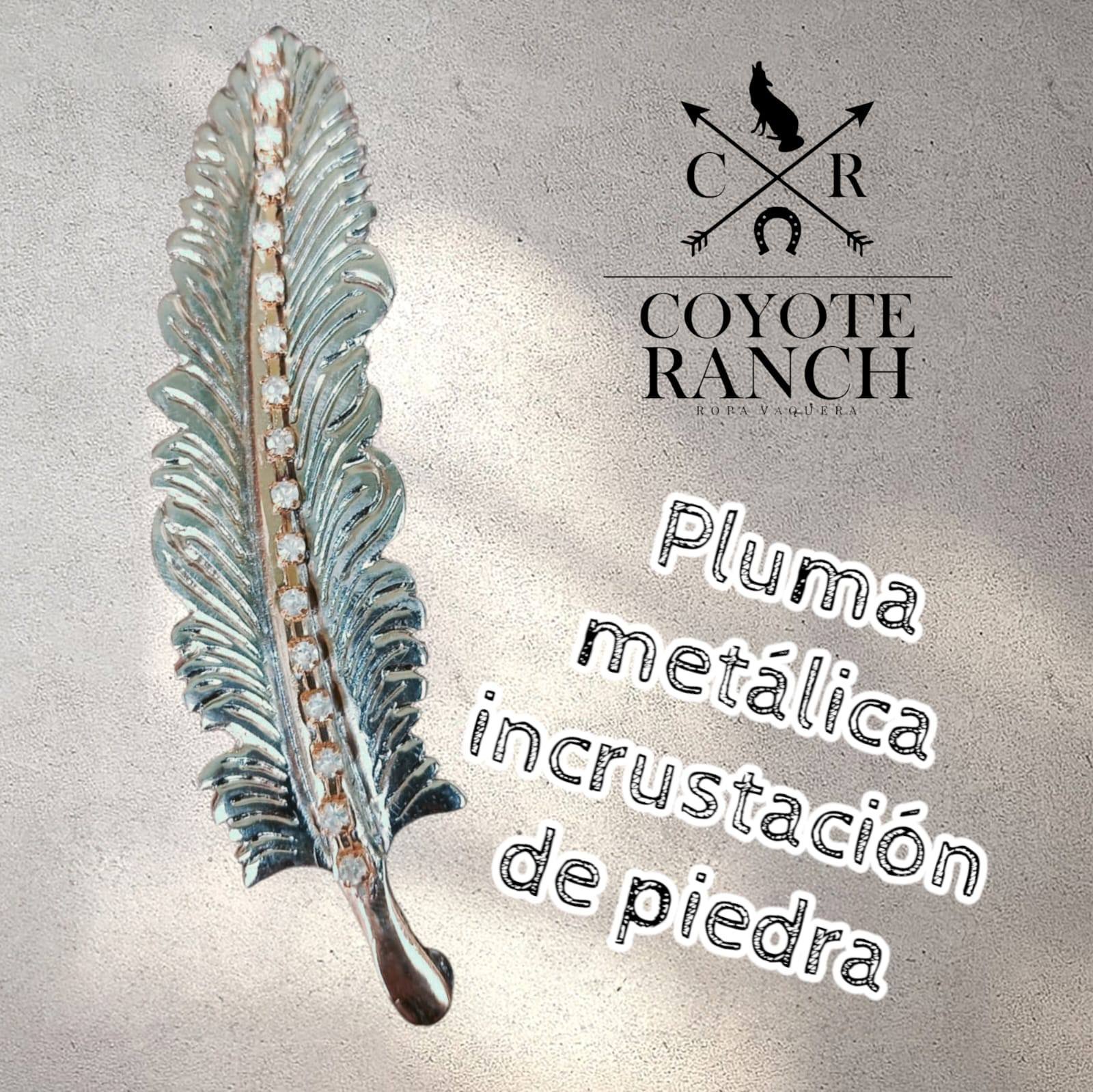 accesorios imagen 15