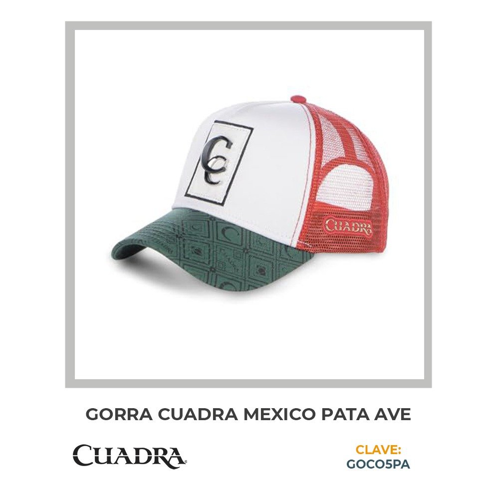 Catálogo 2025 imagen 37