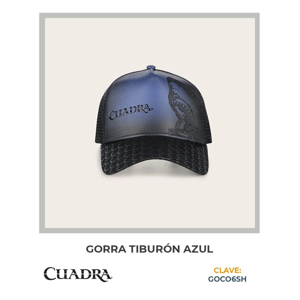 Catálogo 2025 imagen 38